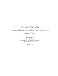 THE RANDOM WALKER Stochastic Mechano-Chemical Models for Motor Proteins Masters Thesis