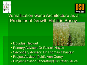 Vernalization Gene Architecture as a Predictor of Growth Habit in Barley