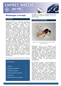 Bluetongue in Europe