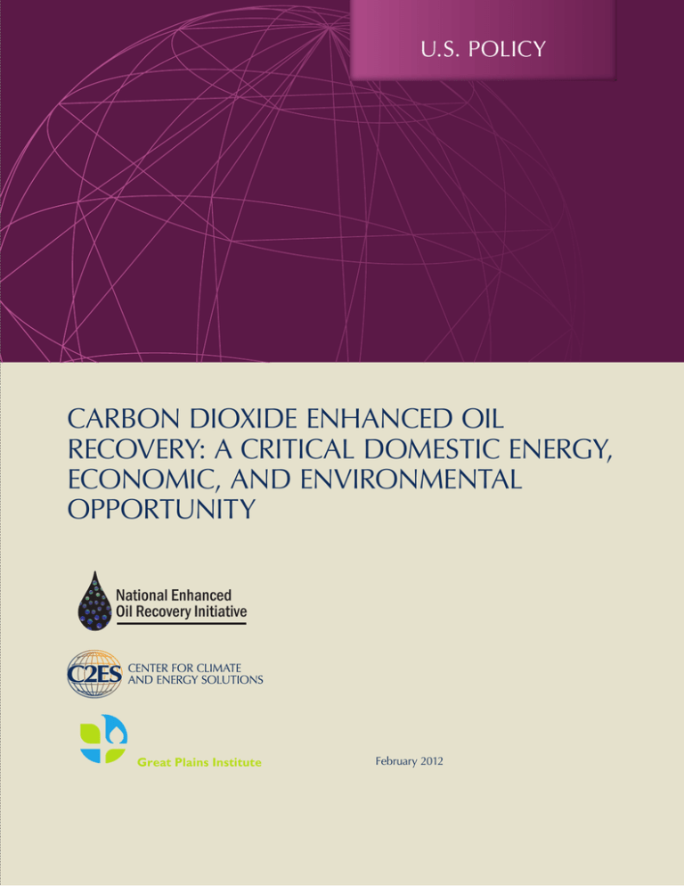 CARBON DIOXIDE ENHANCED OIL RECOVERY: A CRITICAL DOMESTIC ENERGY ...