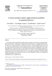 A tensor product matrix approximation problem in quantum physics Geir Dahl