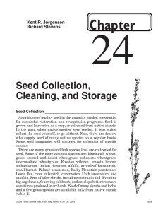 24 Chapter Seed Collection, Cleaning, and Storage