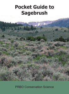 Pocket Guide to Sagebrush PRBO Conservation Science