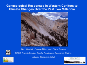 Genecological Responses in Western Conifers to