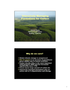 Intensively Managing Plantations for Carbon Why do we care?