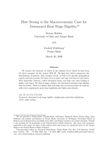 How Strong is the Macroeconomic Case for Downward Real Wage Rigidity? ∗