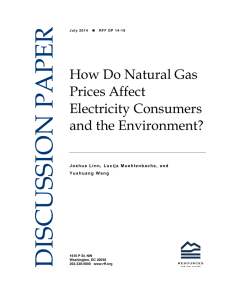 DISCUSSION PAPER How Do Natural Gas Prices Affect