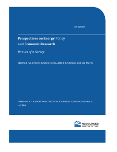 Perspectives on Energy Policy and Economic Research Results of a Survey