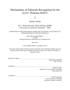 Mechanisms of Substrate Recognition by the AAA+ Protease HslUV Shankar Sundar