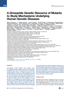 A Drosophila Genetic Resource of Mutants to Study Mechanisms Underlying Resource