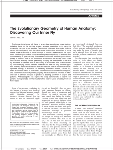 The Evolutionary Geometry of Human Anatomy: Discovering Our Inner Fly