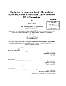 Expip is  a cargo  adaptor for  Sec24p ... export the plasma membrane H+ ATPase  from  the