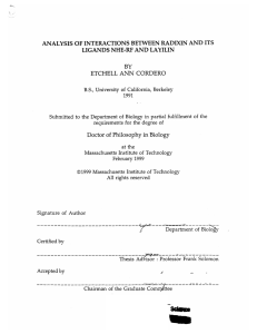 ANALYSIS  OF INTERACTIONS  BETWEEN  RADIXIN  AND ... LIGANDS  NHE-RF  AND  LAYILIN BY