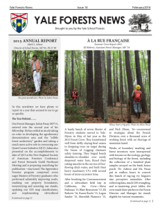 YALE FORESTS NEWS À LA RUE FRANÇAISE 2015 ANNUAL REPORT Yale