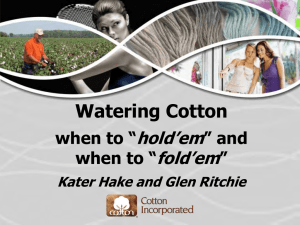 Watering Cotton hold’em fold’em when to “