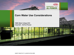 Corn Water Use Considerations