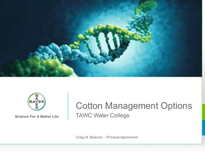 Cotton Management Options TAWC Water College Craig W. Bednarz – Principal Agronomist