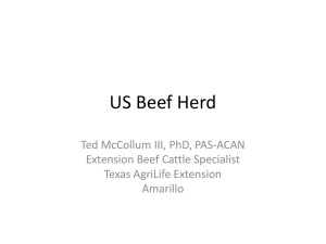 US Beef Herd Ted McCollum III, PhD, PAS-ACAN Extension Beef Cattle Specialist