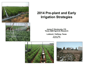 2014 Pre-plant and Early Irrigation Strategies James P. Bordovsky, P.E.