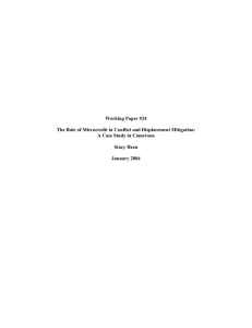 Working Paper #24 A Case Study in Cameroon