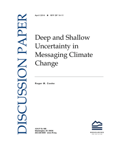 DISCUSSION PAPER Deep and Shallow Uncertainty in