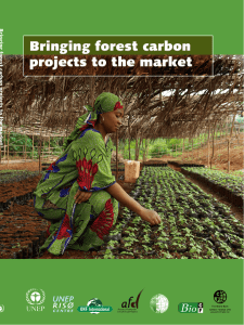 Bringing forest carbon projects to the market ENERGY, CLIMATE