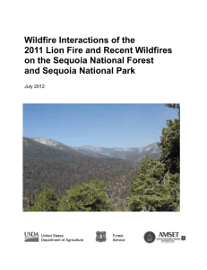 Wildfire Interactions of the 2011 Lion Fire and Recent Wildfires