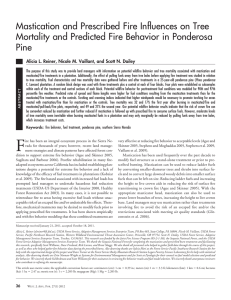 Mastication and Prescribed Fire Influences on Tree Pine