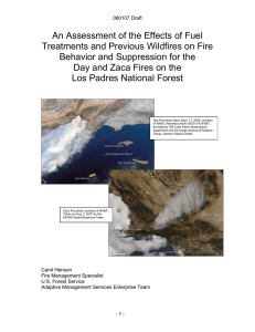 An Assessment of the Effects of Fuel