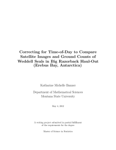 Correcting for Time-of-Day to Compare Satellite Images and Ground Counts of