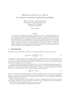 Bifurcation structure of a class of -invariant constrained optimization problems S