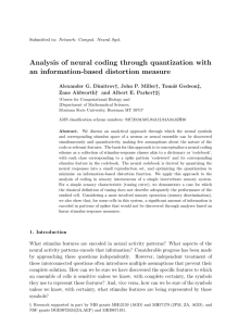 Analysis of neural coding through quantization with an information-based distortion measure † ‡