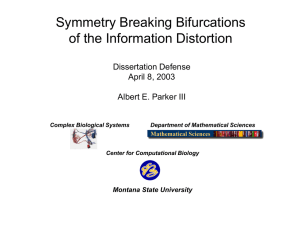 Symmetry Breaking Bifurcations of the Information Distortion Dissertation Defense April 8, 2003