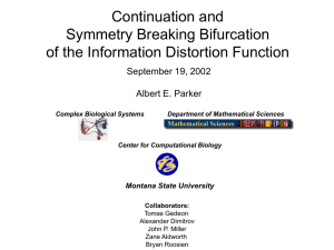 Continuation and Symmetry Breaking Bifurcation of the Information Distortion Function September 19, 2002