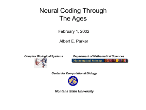 Neural Coding Through The Ages February 1, 2002 Albert E. Parker