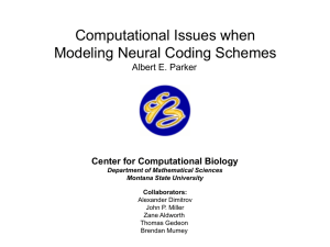 Computational Issues when Modeling Neural Coding Schemes Center for Computational Biology