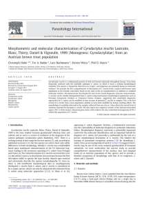 Morphometric and molecular characterization of Gyrodactylus teuchis Lautraite,