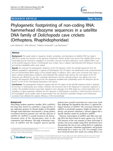 Phylogenetic footprinting of non-coding RNA: hammerhead ribozyme sequences in a satellite