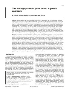 The mating system of polar bears: a genetic approach