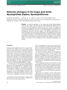 Molecular phylogeny of the fungus gnat family Mycetophilidae (Diptera, Mycetophiliformia)