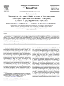 The complete mitochondrial DNA sequence of the monogenean Thymallus thymallus Gyrodactylus thymalli