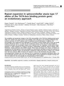 Repeat expansion in spinocerebellar ataxia type 17 an evolutionary approach