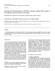 Cloning  and  characterization  of  KM190, ... and Drosophila  kitumensis D.  microlabis