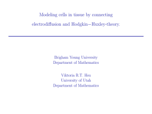 Modeling cells in tissue by connecting electrodiffusion and Hodgkin−Huxley-theory.