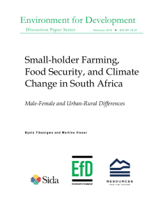 Environment for Development Small-holder Farming, Food Security, and Climate Change in South Africa