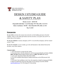 DESIGN I STUDIO GUIDE &amp; SAFETY PLAN