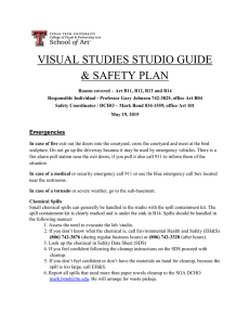 VISUAL STUDIES STUDIO GUIDE &amp; SAFETY PLAN