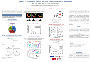 Effects of Fluorescent Probes on Lipid Membrane Physical Properties Sherry Leung