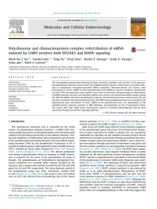 Polyribosome and ribonucleoprotein complex redistribution of mRNA