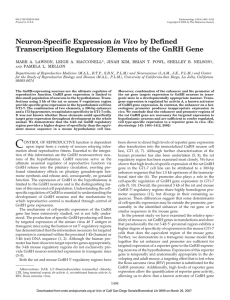 in Vivo Transcription Regulatory Elements of the GnRH Gene PAMELA L. MELLON